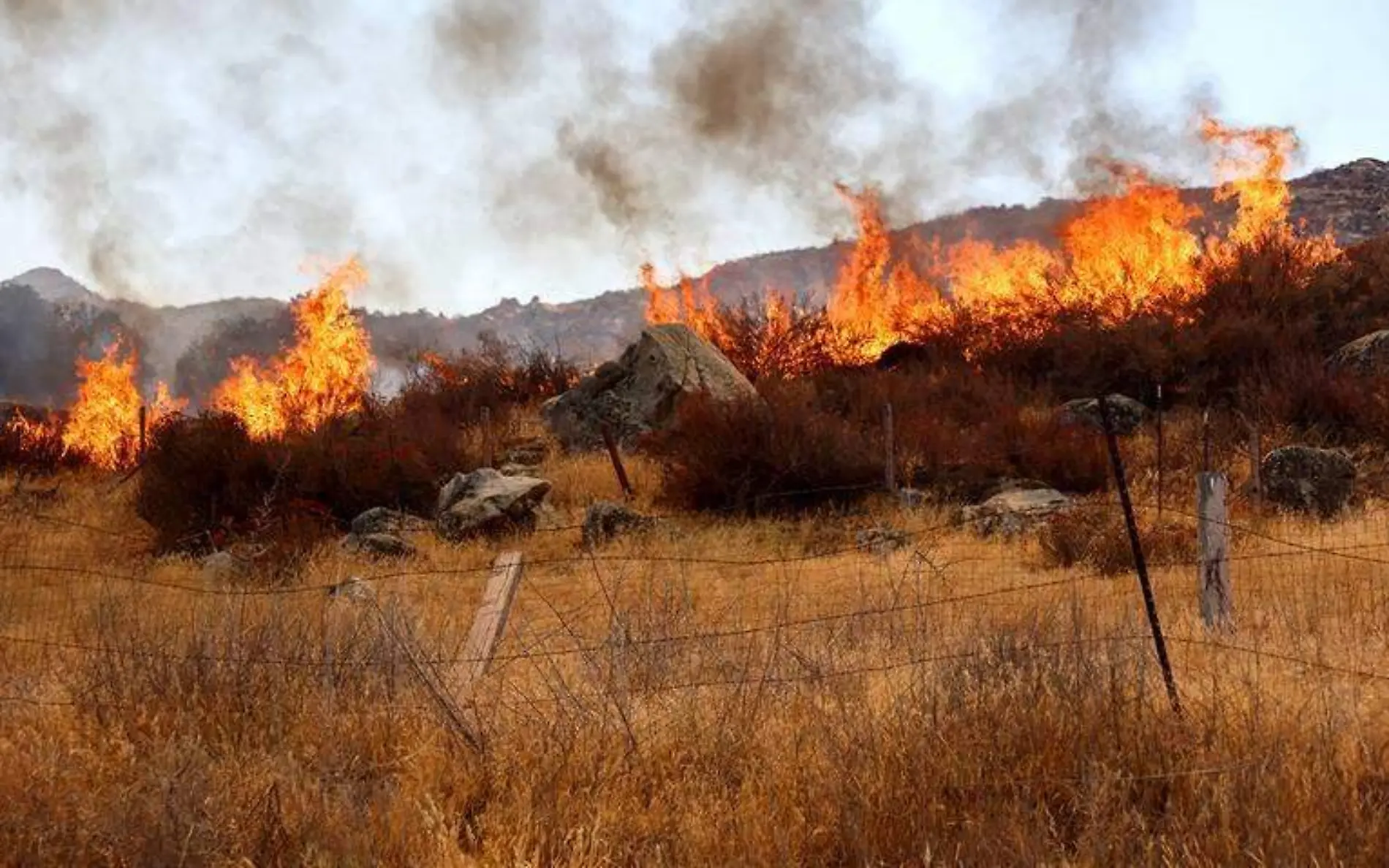 Incendio en California1